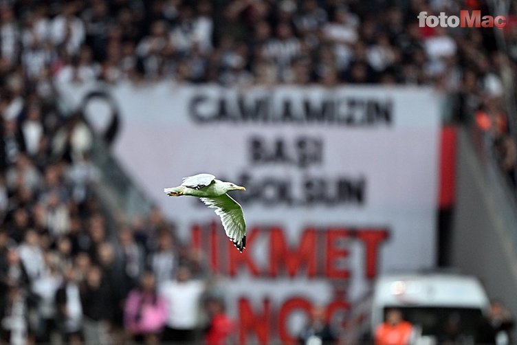 Beşiktaş'ta Hayal Kırıklığı: Martı da İlaç Olmadı