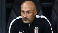 Beşiktaş, Crystal Palace'ı Ağırlayarak İlk 8 Hedefini Güçlendirecek